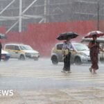El Niño has begun, scientists say, and could bring record heat