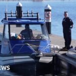 Man dies after bitten by shark in Western Australia, police say