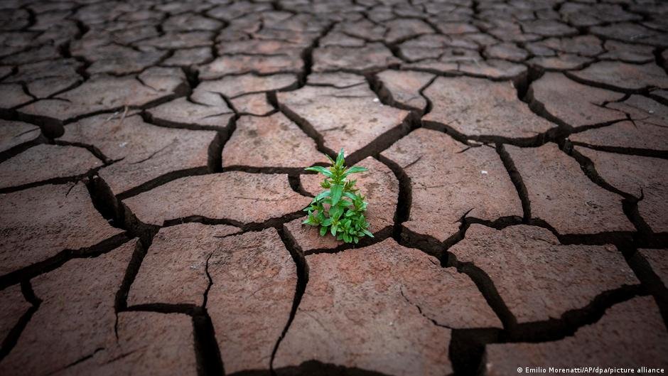 UN predicts record-breaking heat