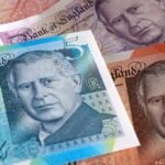 Puffins, dolphins on shortlist for new UK banknotes