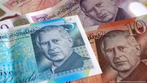 Puffins, dolphins on shortlist for new UK banknotes