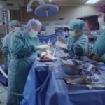 Germany considers ‘opt-out’ organ donor option