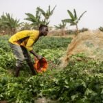 Nigeria: Religious divides worsen conflict during drought