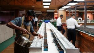 Iran war plunges Sri Lanka tea industry into crisis