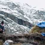 ‘Winter insomnia’ – Why Himalayan bears are sleeping less