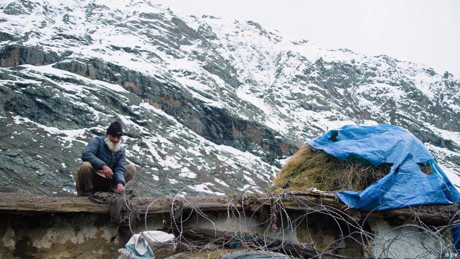 ‘Winter insomnia’ – Why Himalayan bears are sleeping less