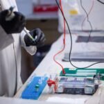 Hantavirus: Argentina expands probe to trace outbreak source