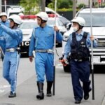 Japanese city captures black bear after multi-day hunt