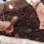 In Kenya, an experiment aims to turn sand into fertile soil