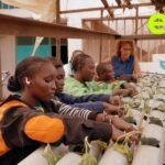 Growing food in the sand with algae