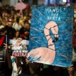 Albania’s ‘Flamingo Revolution’: What’s behind the protests?