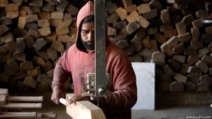 Kashmir’s cricket bat industry faces willow shortage crisis