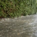 Germany news: Summer thunderstorms wreak havoc