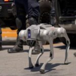 Mexico deploys robot security dogs at FIFA World Cup