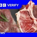 Watch: There’s no plot to make US citizens allergic to red meat