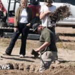 117 dead dogs found at ‘no-kill’ animal rescue – many with gunshot wounds