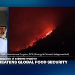 ‘El Niño turbocharging climate change’, warns Gareth Redmond-King