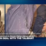 EU Taliban invite ‘the wrong signal to anyone that is using power as a means of suppression’