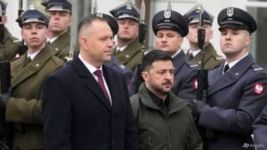 Ukraine’s Zelenskyy, top officials return Polish awards in WWII row