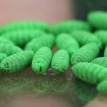 UN agencies launch $1 million project to contain screwworm outbreak