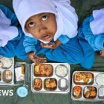Indonesia: Prabowo fires head of free meals scheme plagued by mass poisonings