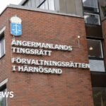 Sweden man jailed for four years for coercing wife into sex with 120 men