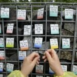 South Korean adoptees sue Denmark over right to know birth families