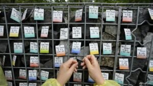 South Korean adoptees sue Denmark over right to know birth families