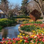 Snow, sea and springtime blooms in Sydney and New South Wales