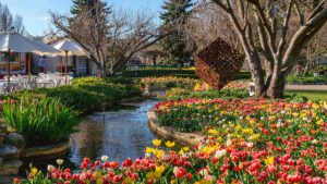 Snow, sea and springtime blooms in Sydney and New South Wales