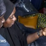 South Africa’s illegal immigration crackdown: President Ramaphosa unveils plan