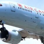 Air Canada pilot accused of flying without correct licence