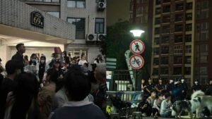 Rare protests erupt in China after dog abuse videos spark online anger