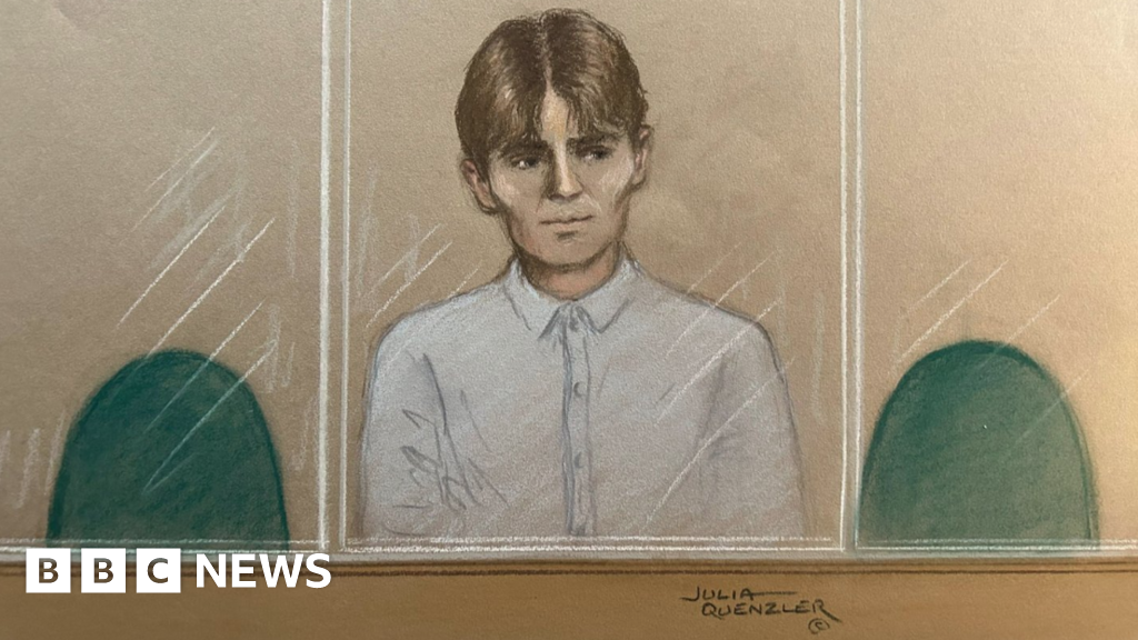 Norwegian teen was in UK to ‘undertake a hit’, court hears
