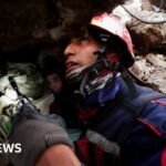 Dogs, drones and sound detectors: How rescuers search for quake survivors