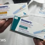Why Canada has generic Ozempic, and the US doesn’t