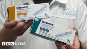 Why Canada has generic Ozempic, and the US doesn’t