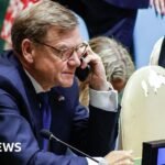 Germany blames Russia for failed UN Security Council bid