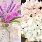 Can’t get enough of CJ Hendry’s plush flowers? Here are 4 Singapore makers crafting blooms that last