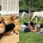 Puppies, ponies and Pilates: I tried some of Singapore’s most unconventional fitness classes