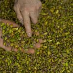 Commentary: Methanol, pistachios and cement – other Iranian exports choked by the war