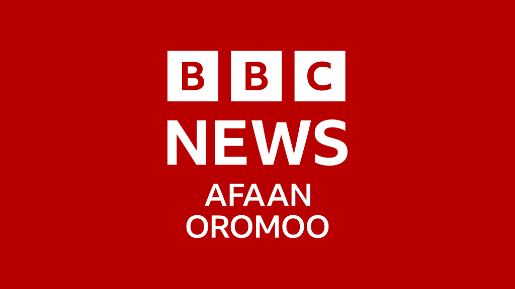 Oduu – BBC News Afaan Oromoo
