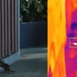 Hong Kong turns to AI to tackle persistent rat infestations, but challenges remain