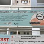 Commentary: The real achievement behind 10 years of Project Wolbachia in Singapore’s dengue fight