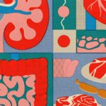 5 health risks from consuming too much protein, from heart disease to weight gain