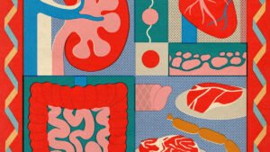 5 health risks from consuming too much protein, from heart disease to weight gain