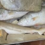 Protected sharks, rays allegedly sold as seafood without permits in Singapore’s markets