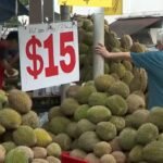 Weather uncertainty looms over durian season as sellers turn to technology to secure supply