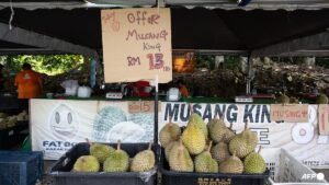 ‘Durians don’t wait for you’: Sellers in Singapore say prices have started to rise again