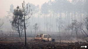 Deadly wildfires force thousands from homes in parts of Europe